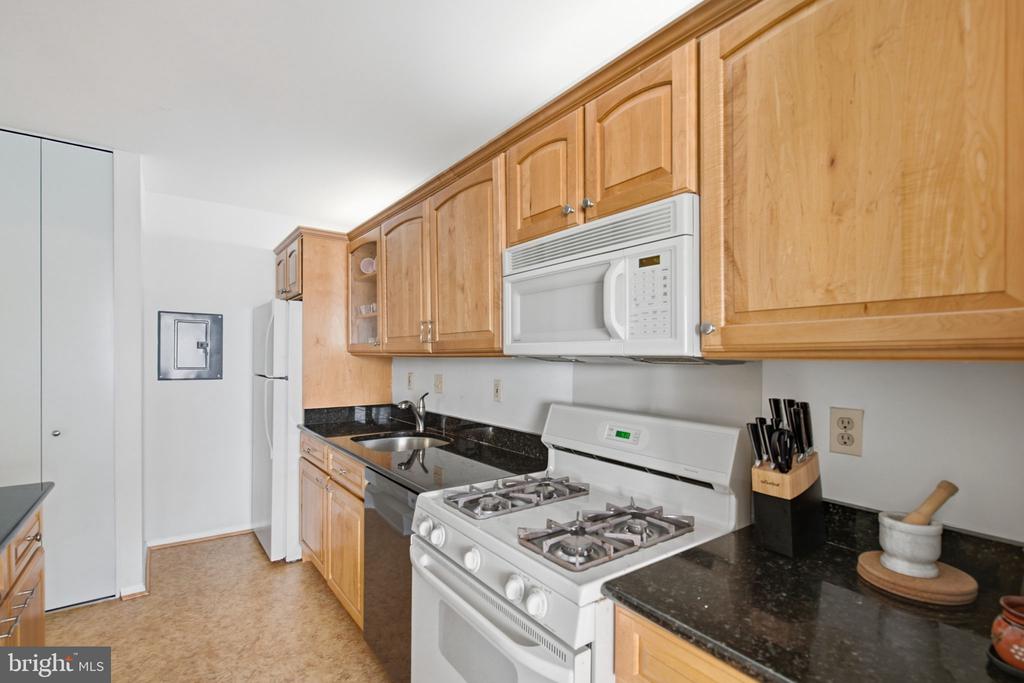 4515 WILLARD AVENUE Unit: 2415S