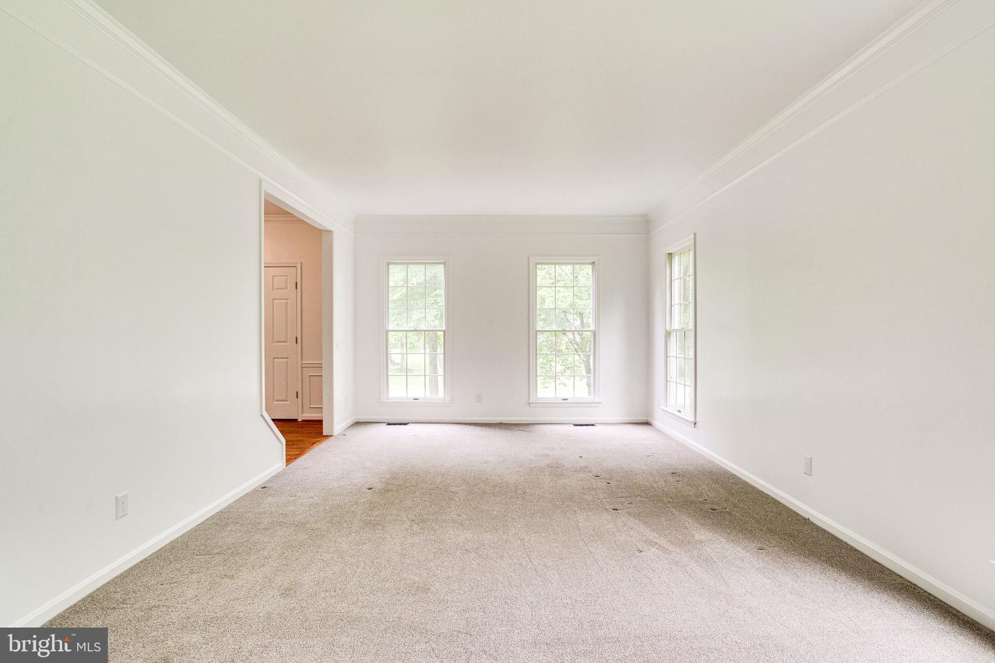 3107 Bold Ruler COURT