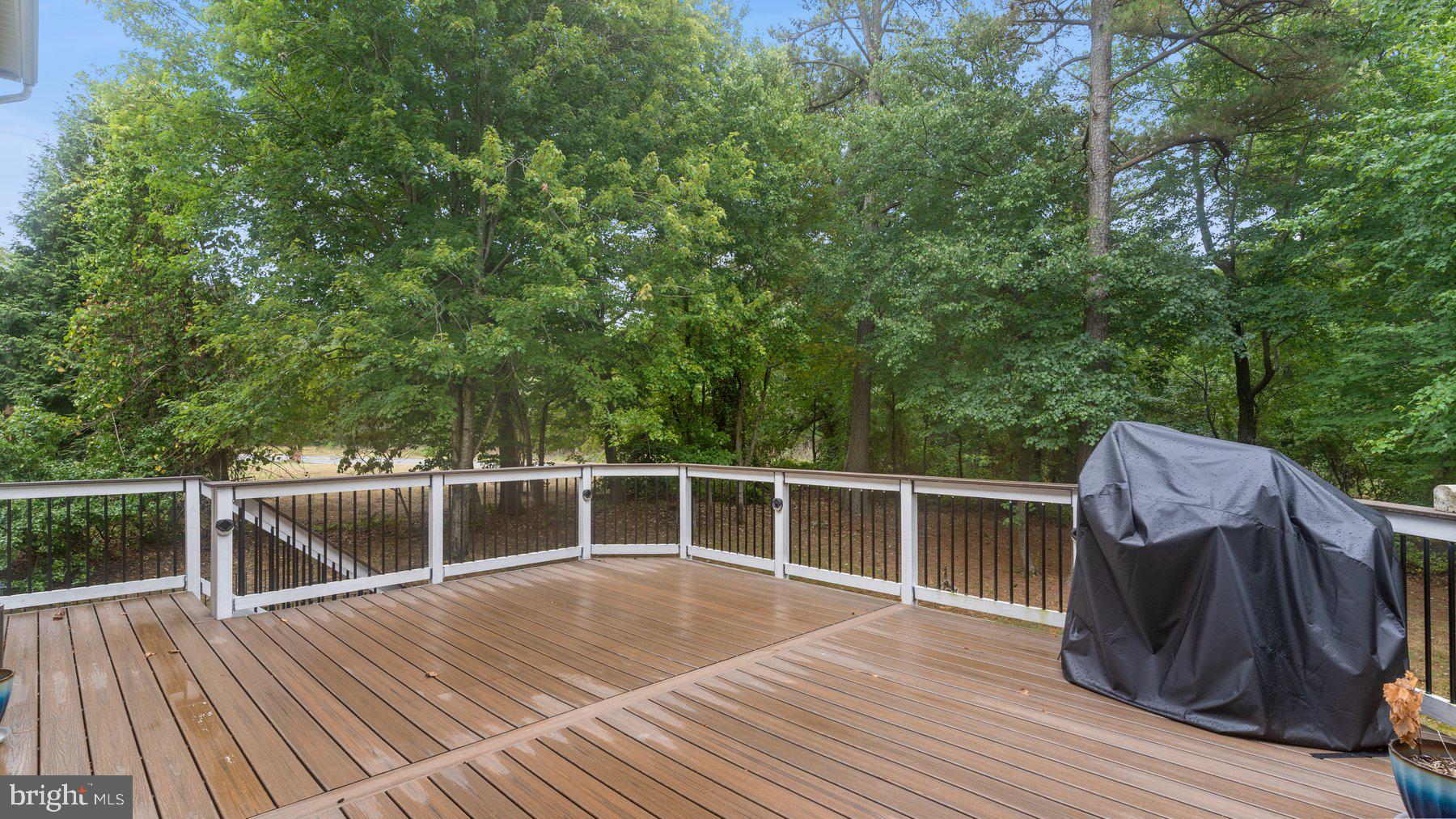 11709 Lauer Ct