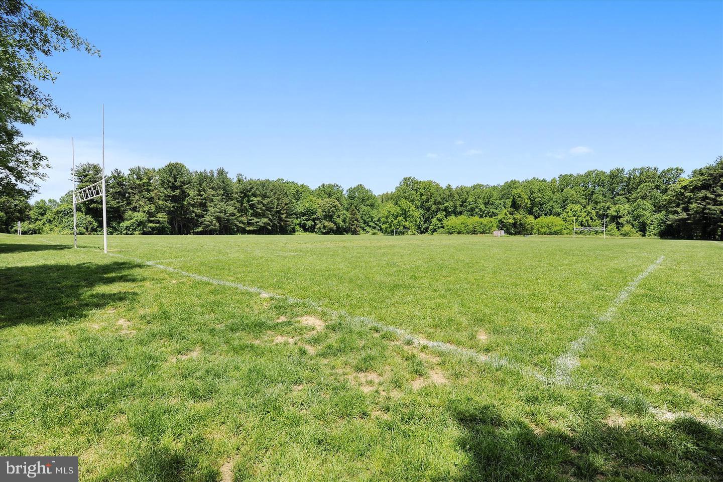 15603 DORSET ROAD 17