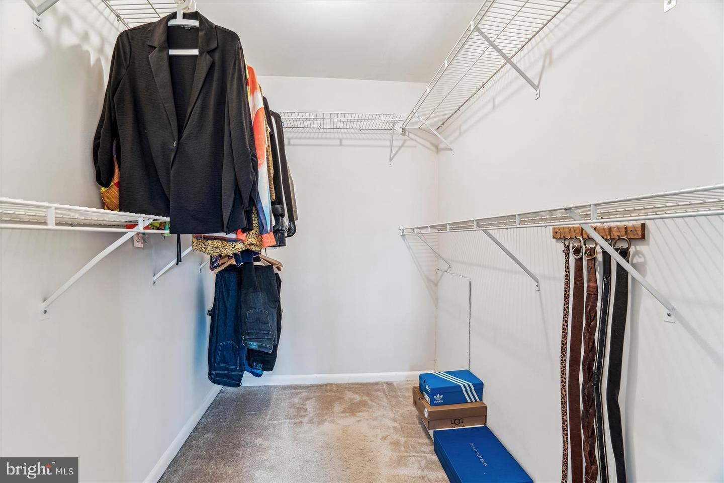 15603 DORSET ROAD 17