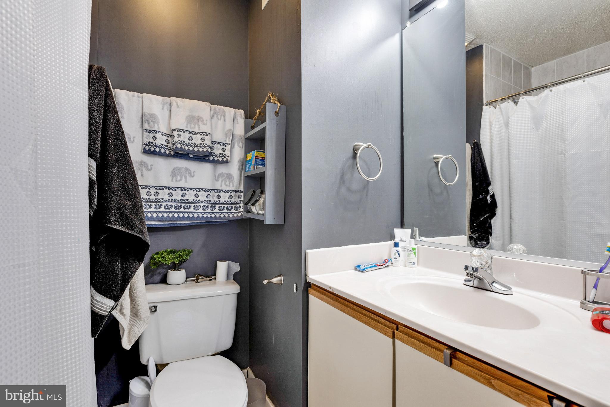 8329 FOUNDERS WOODS WAY