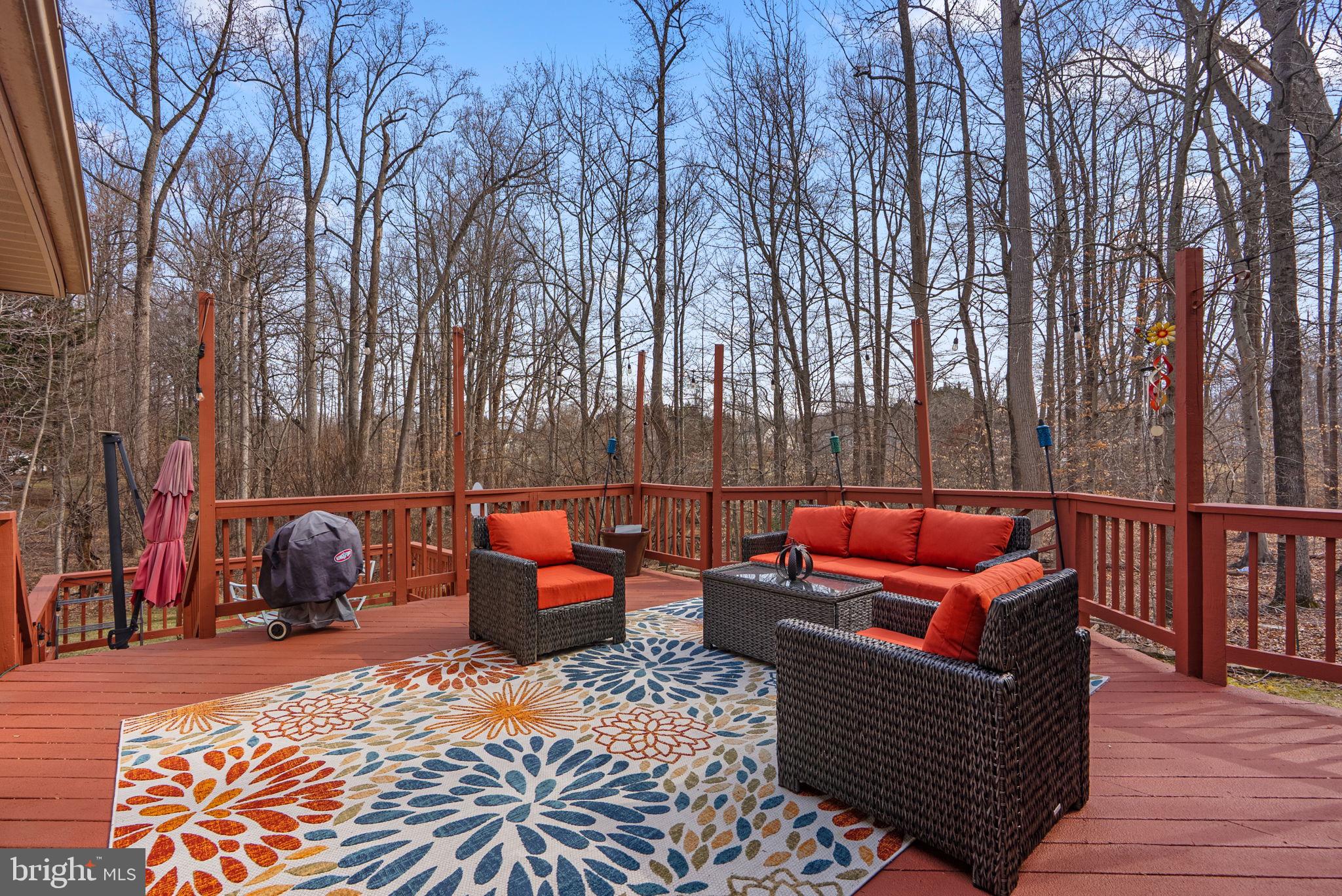 14221 PLEASANT VIEW DRIVE