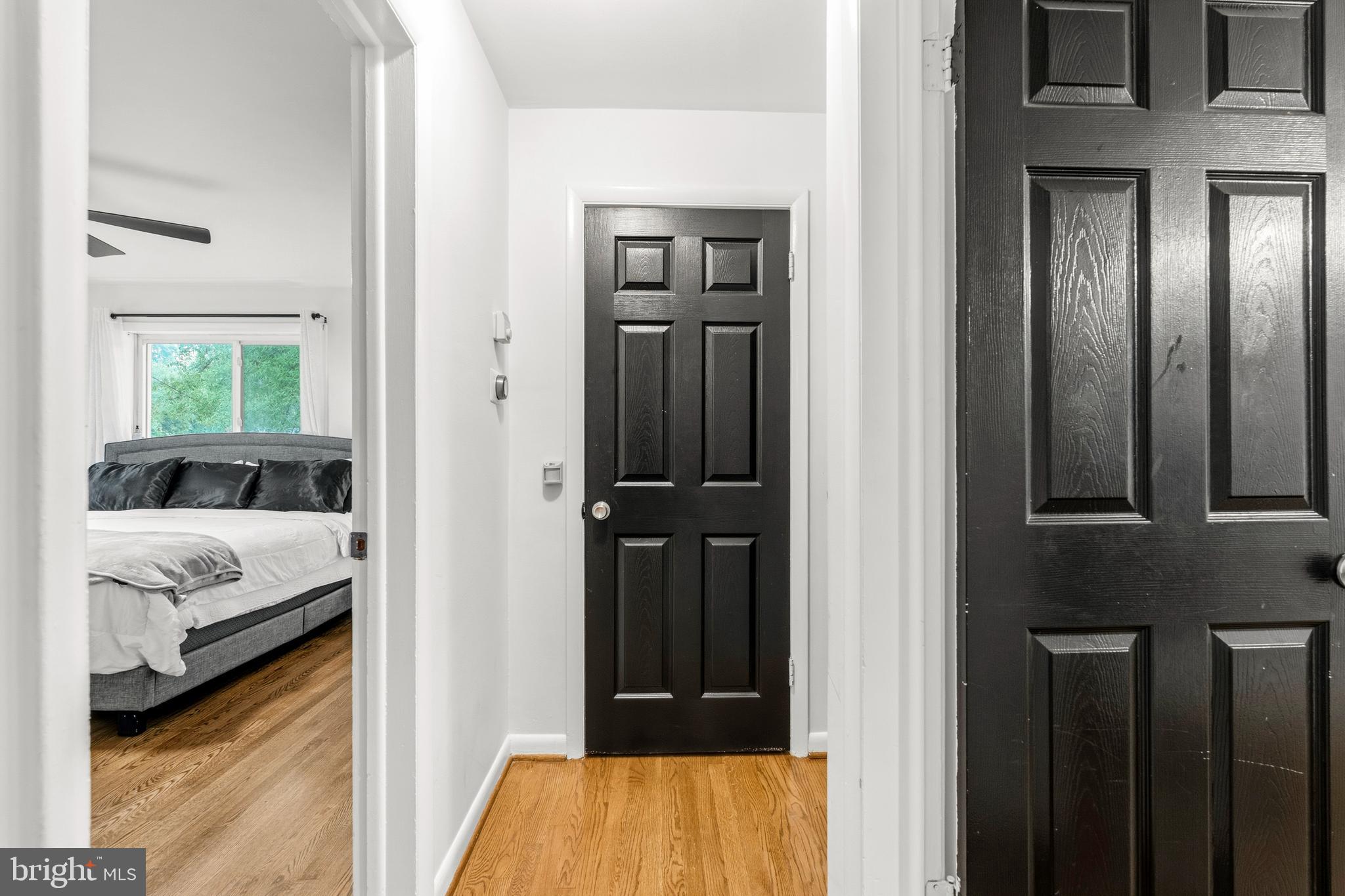 10111 GREEN FOREST
