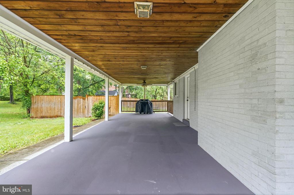 10111 GREEN FOREST