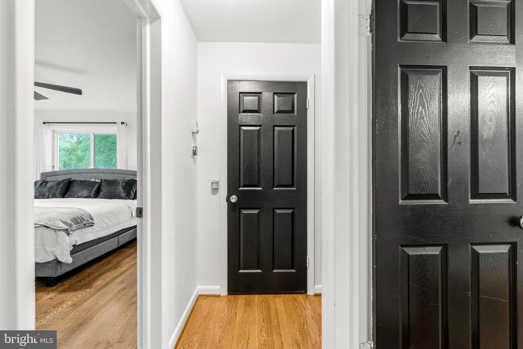 10111 GREEN FOREST