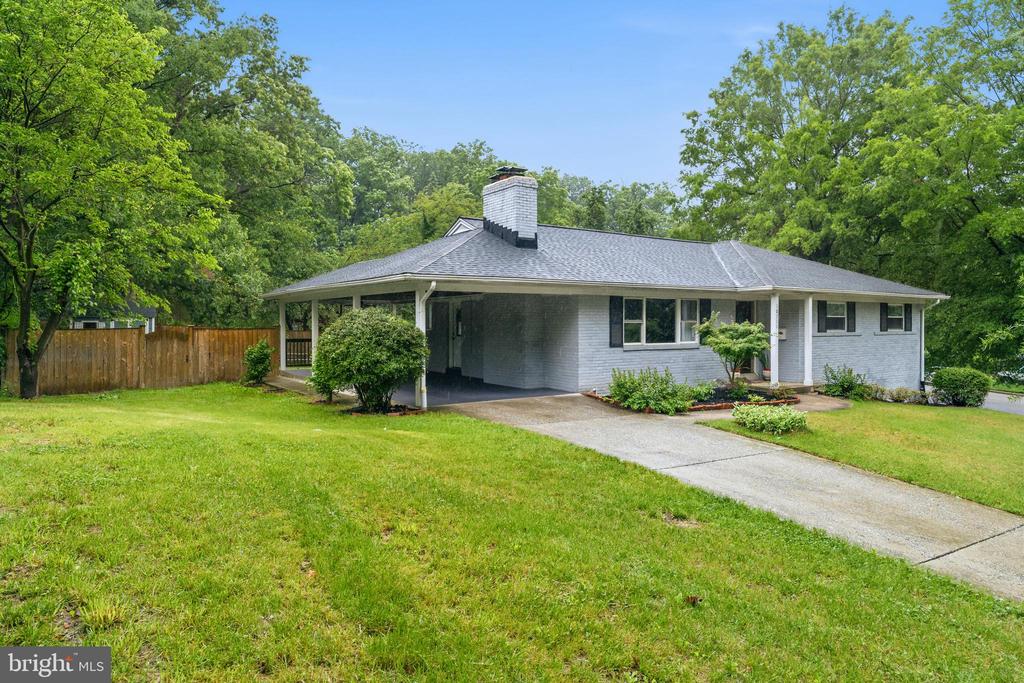 10111 GREEN FOREST