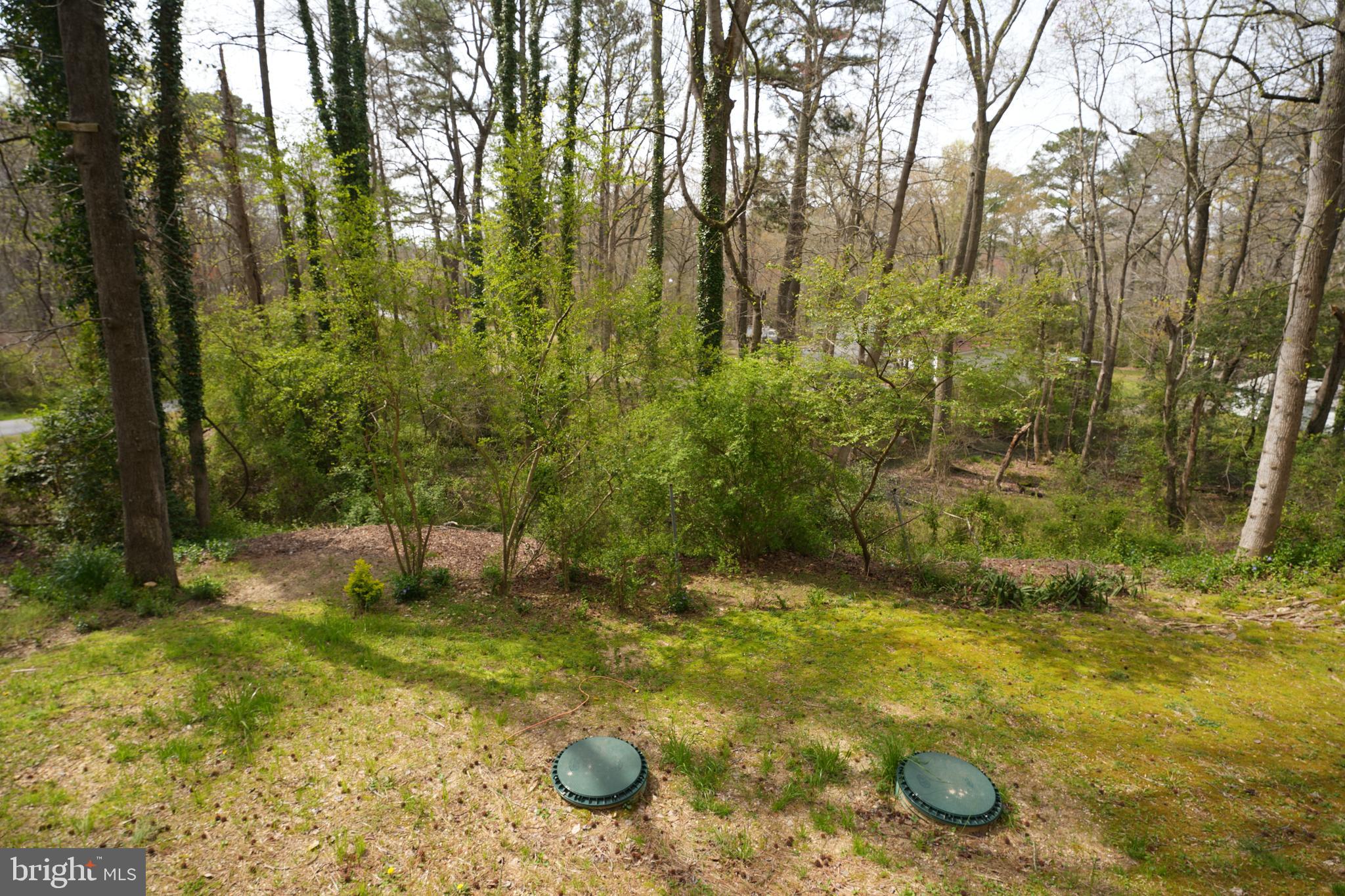 20545 ADKINS ROAD