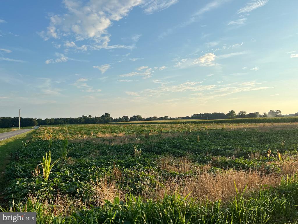 CEDAR LANE ROAD