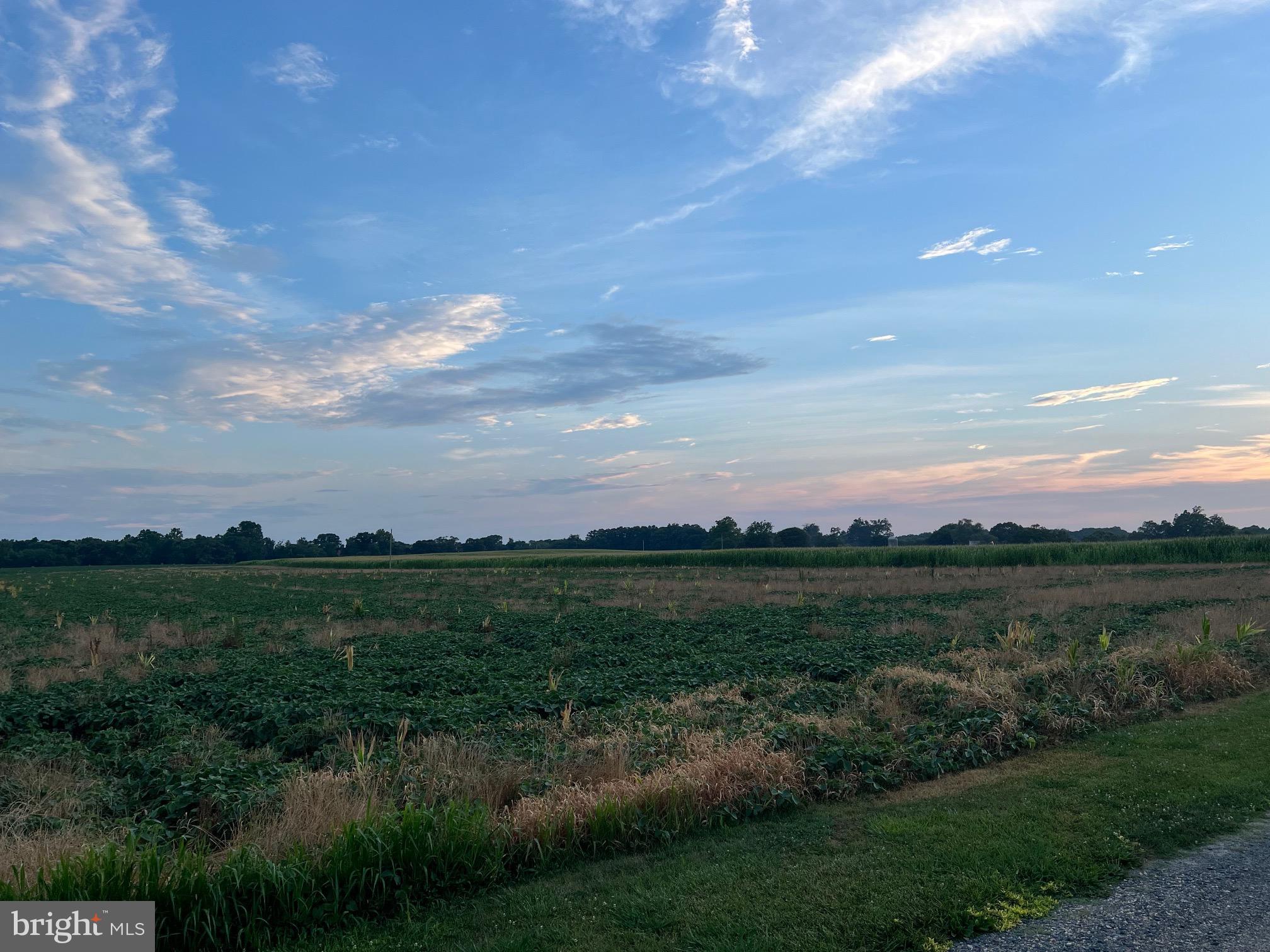 CEDAR LANE ROAD