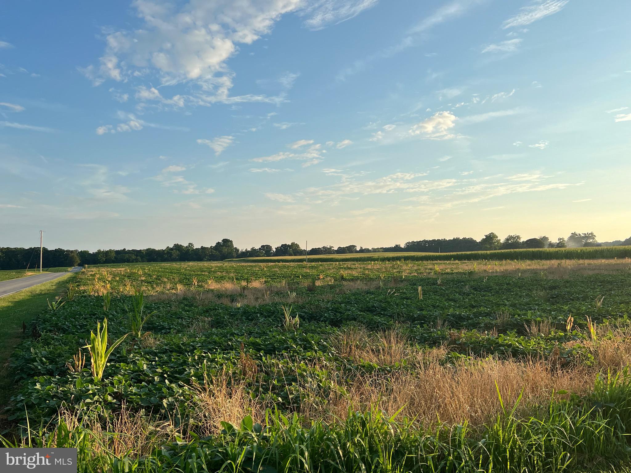 CEDAR LANE ROAD