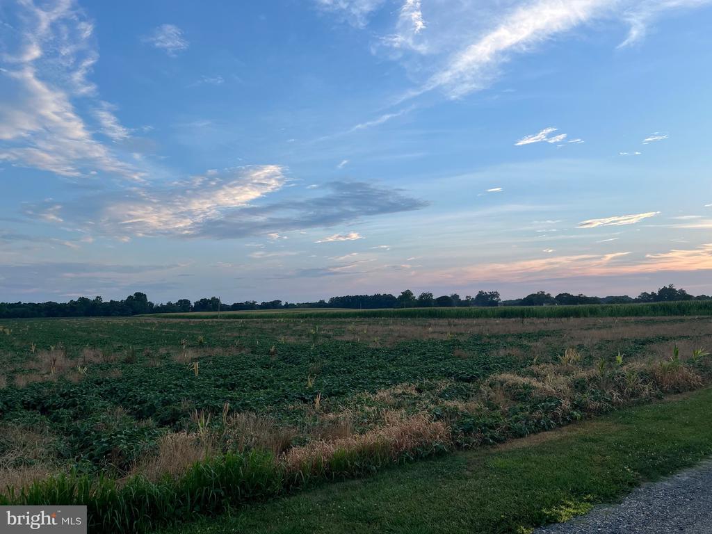 CEDAR LANE ROAD