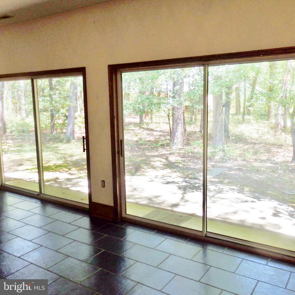 23074 PURPLE PLUM WAY