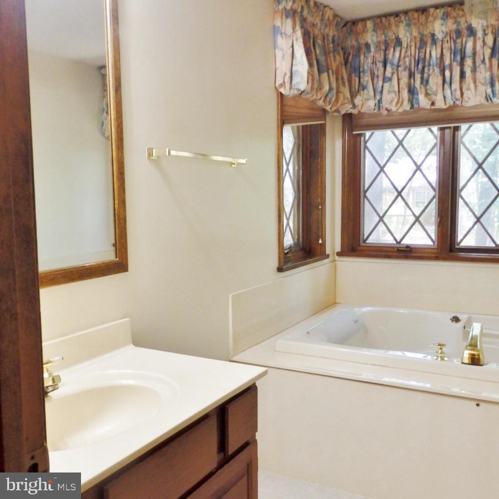 23074 PURPLE PLUM WAY