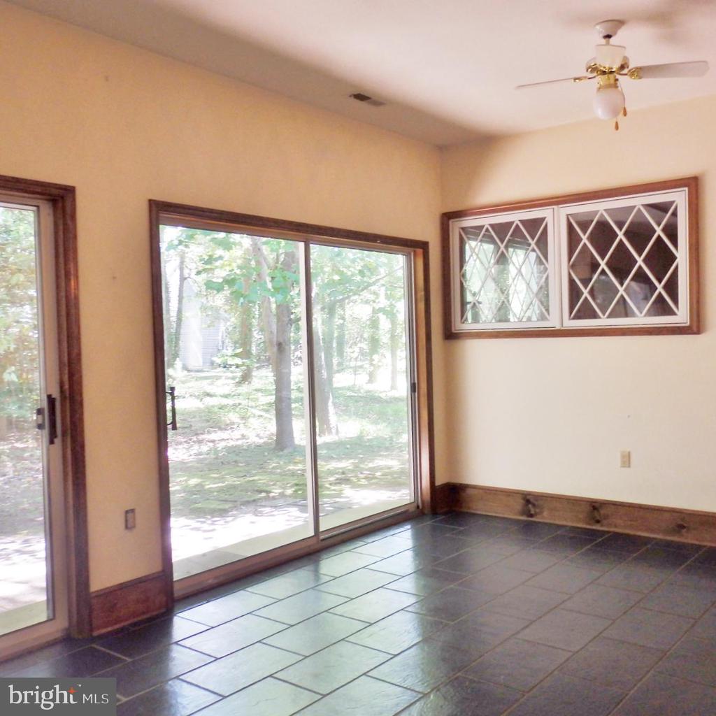23074 PURPLE PLUM WAY