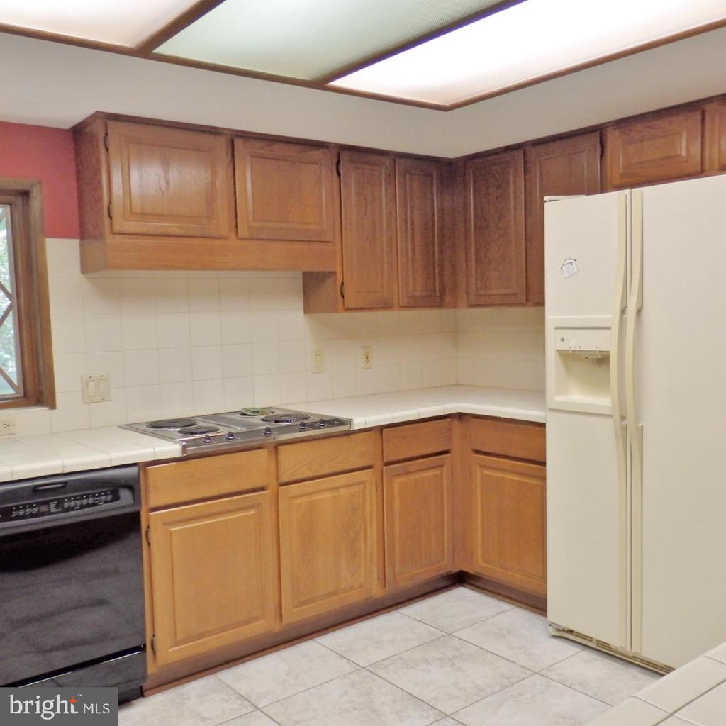 23074 PURPLE PLUM WAY