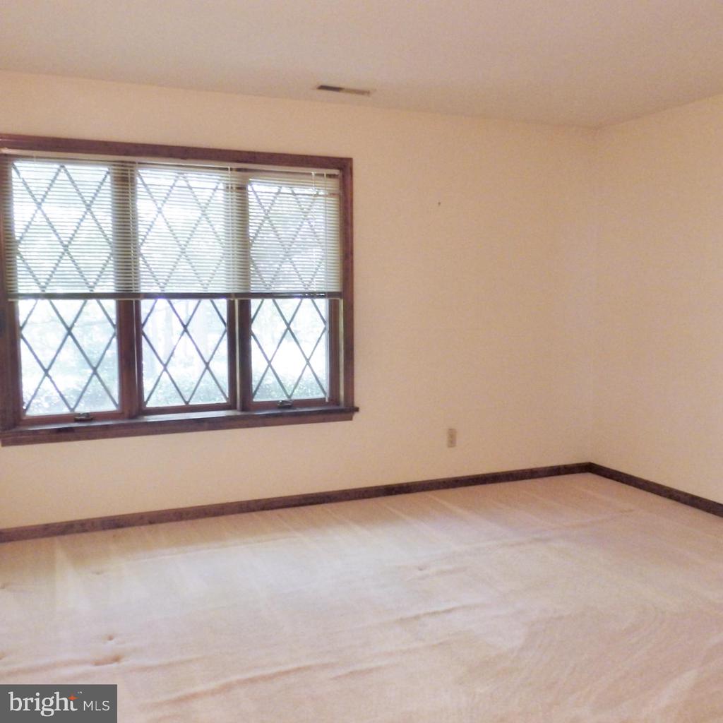 23074 PURPLE PLUM WAY