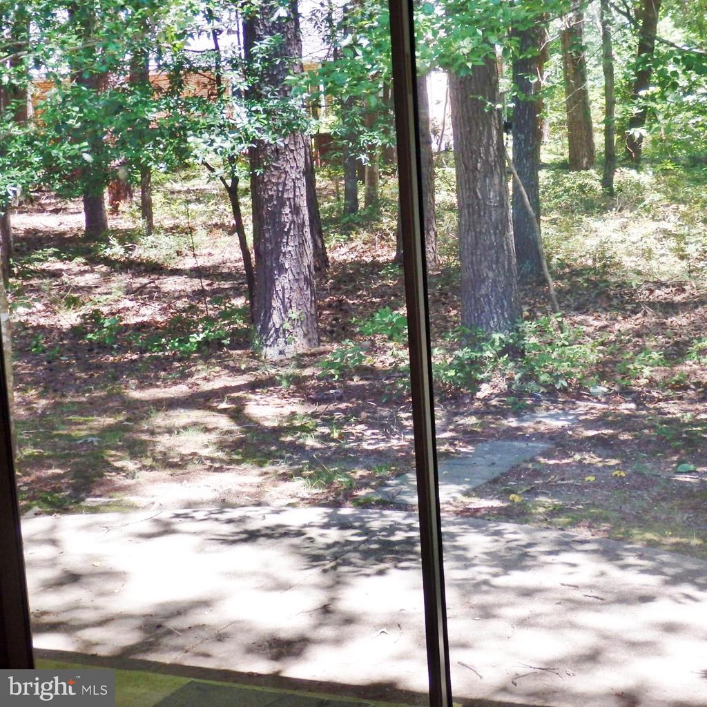 23074 PURPLE PLUM WAY