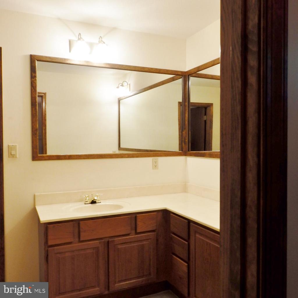 23074 PURPLE PLUM WAY