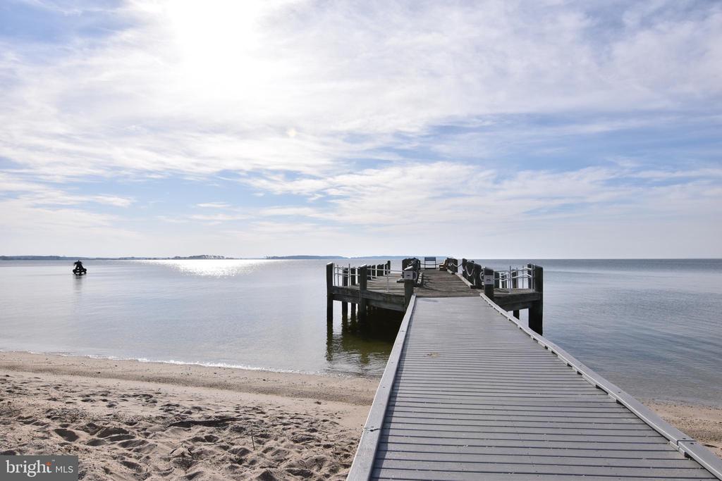 45242 CAPE CHARLES LANE