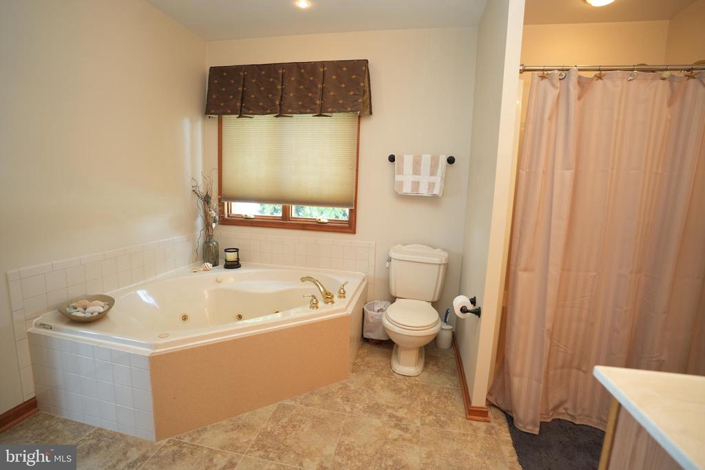 42356 ALLISON DRIVE