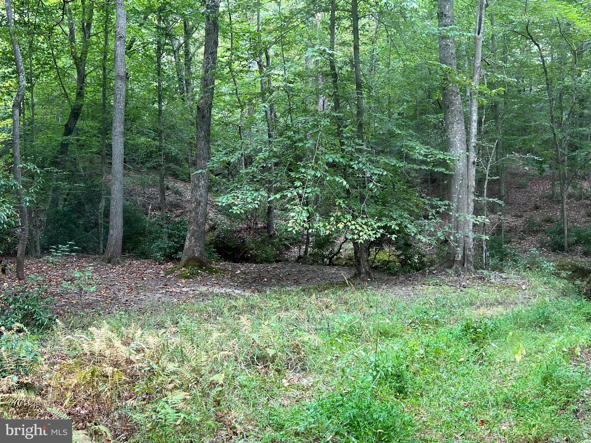 48977 CHISLEYTOWN ROAD