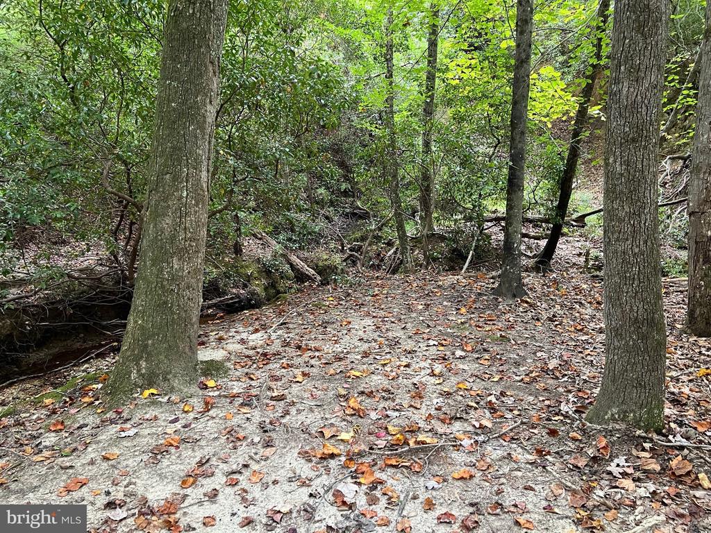 48977 CHISLEYTOWN ROAD