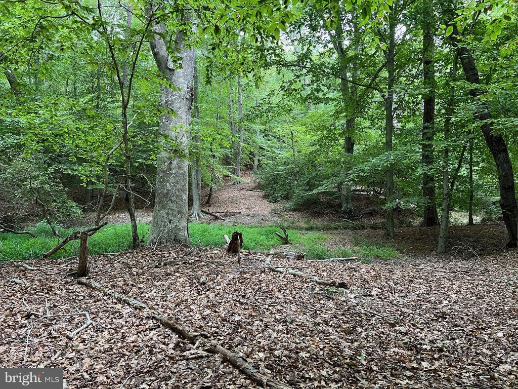 48977 CHISLEYTOWN ROAD
