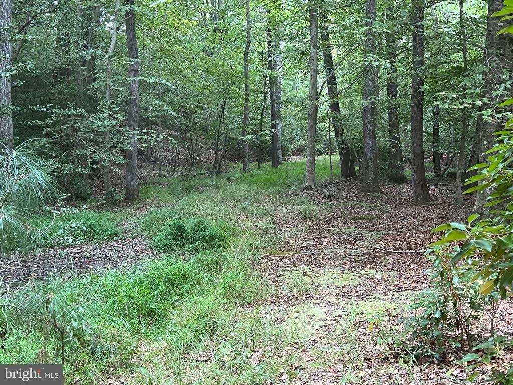 48977 CHISLEYTOWN ROAD