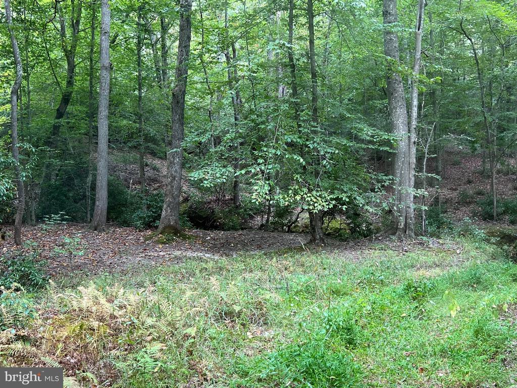48977 CHISLEYTOWN ROAD