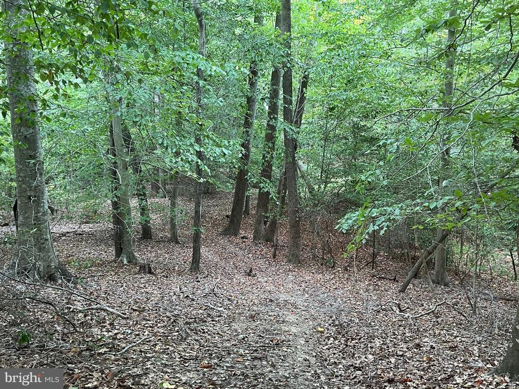 48977 CHISLEYTOWN ROAD