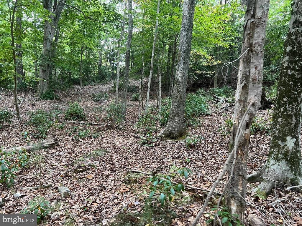 48977 CHISLEYTOWN ROAD