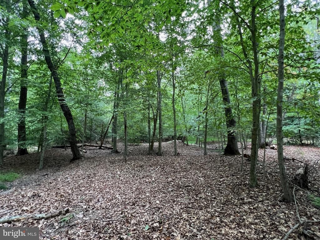 48977 CHISLEYTOWN ROAD
