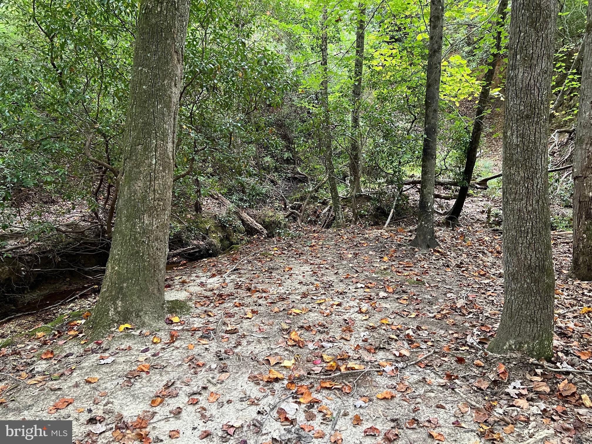 48977 CHISLEYTOWN ROAD