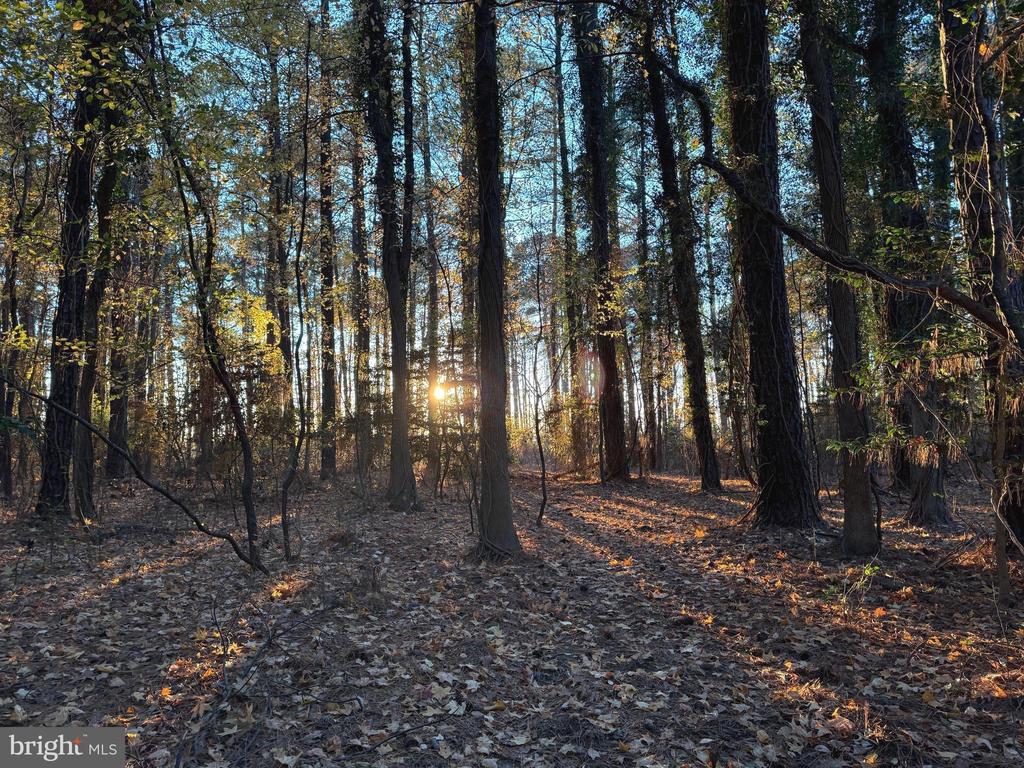 CAMP MERRYELANDE ROAD