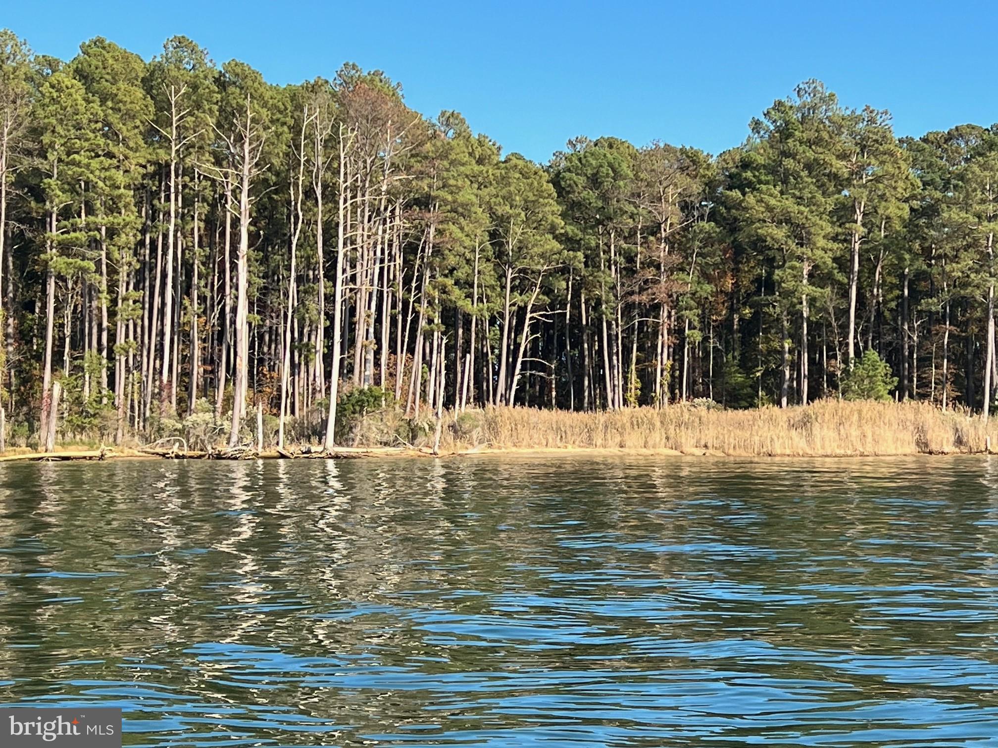CAMP MERRYELANDE ROAD
