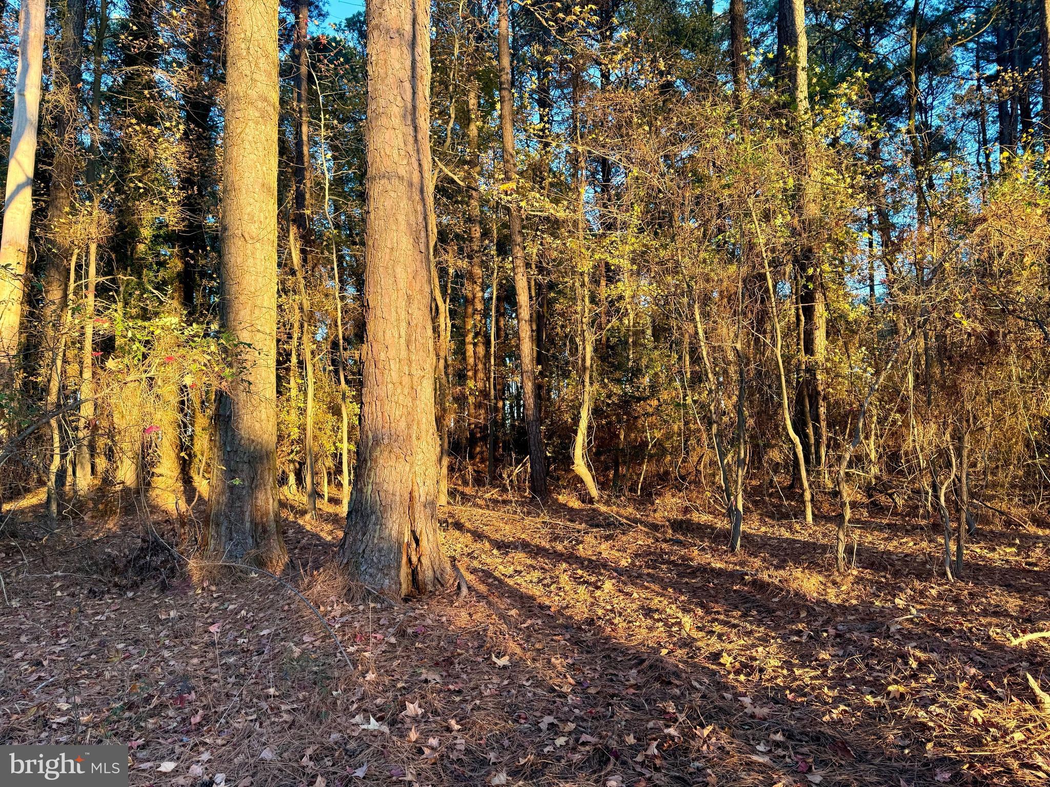 CAMP MERRYELANDE ROAD