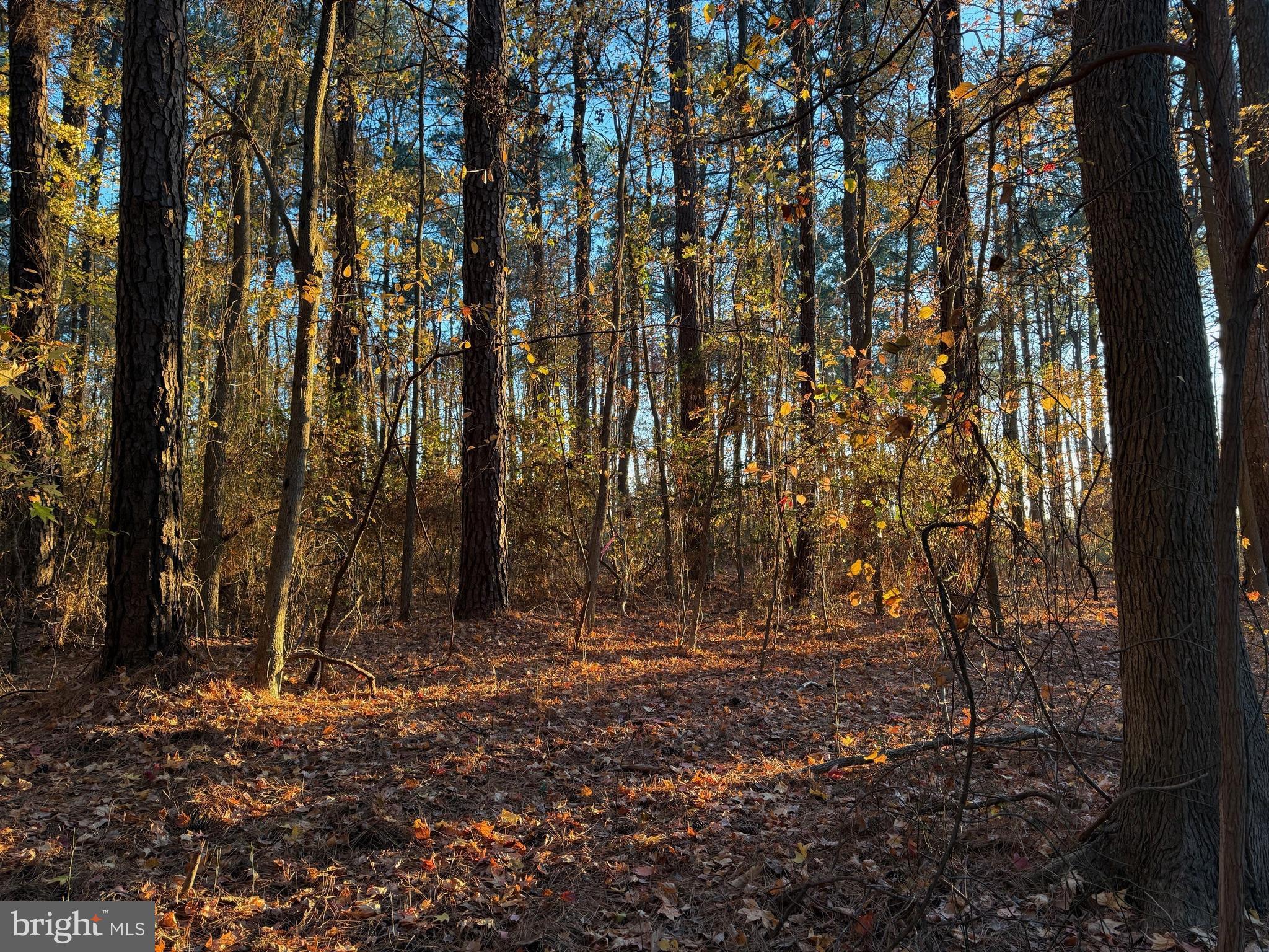 CAMP MERRYELANDE ROAD