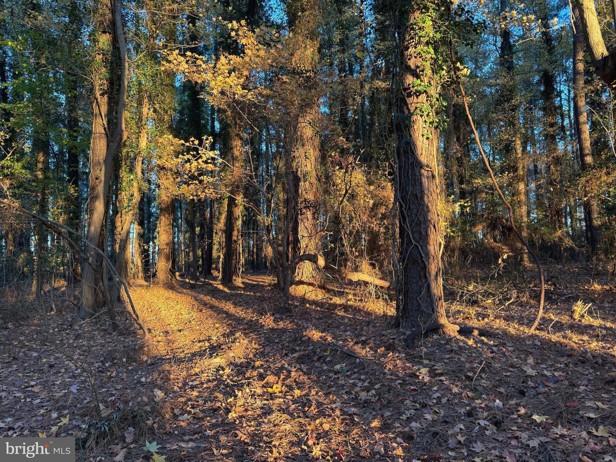 CAMP MERRYELANDE ROAD