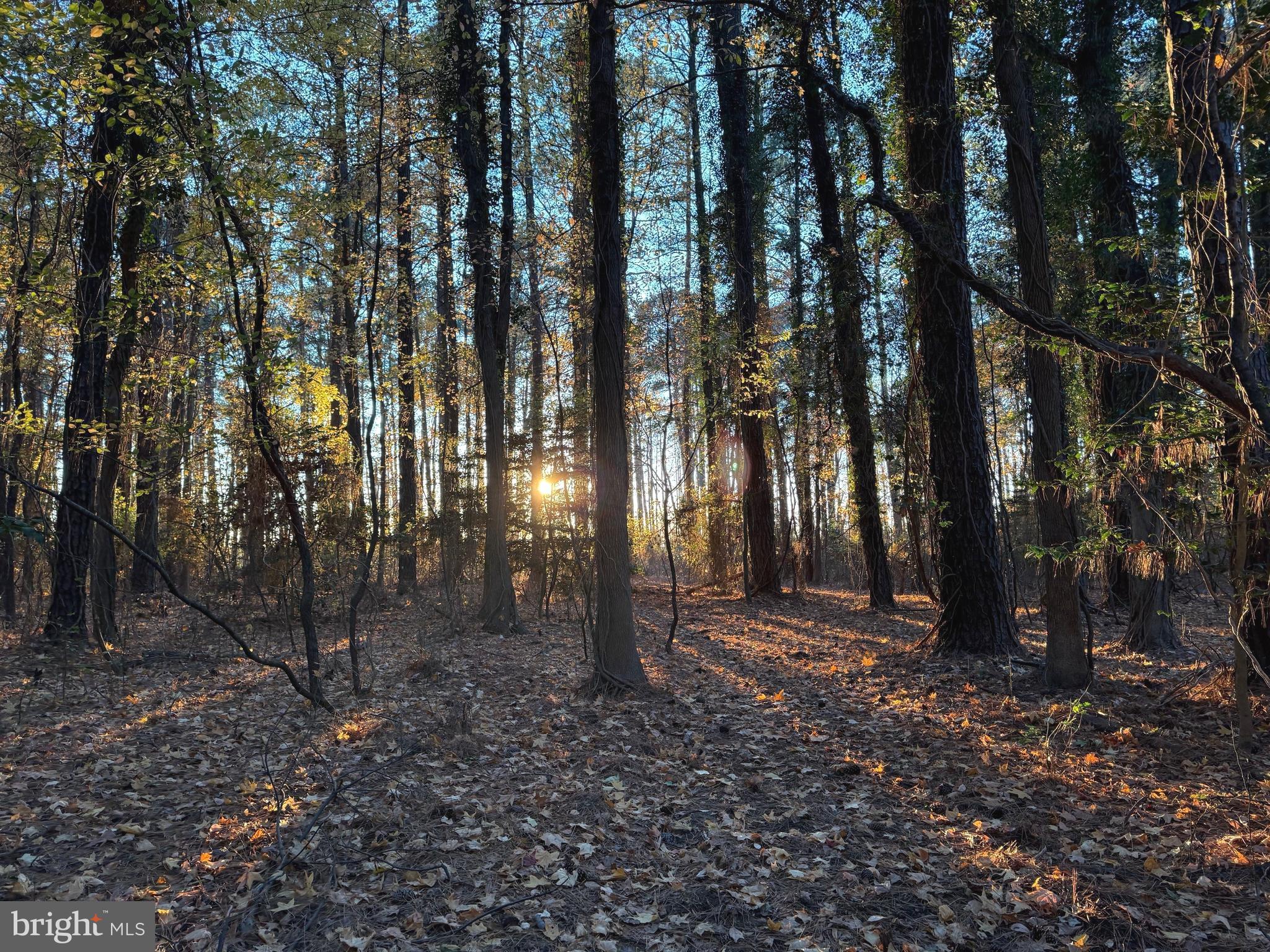 CAMP MERRYELANDE ROAD