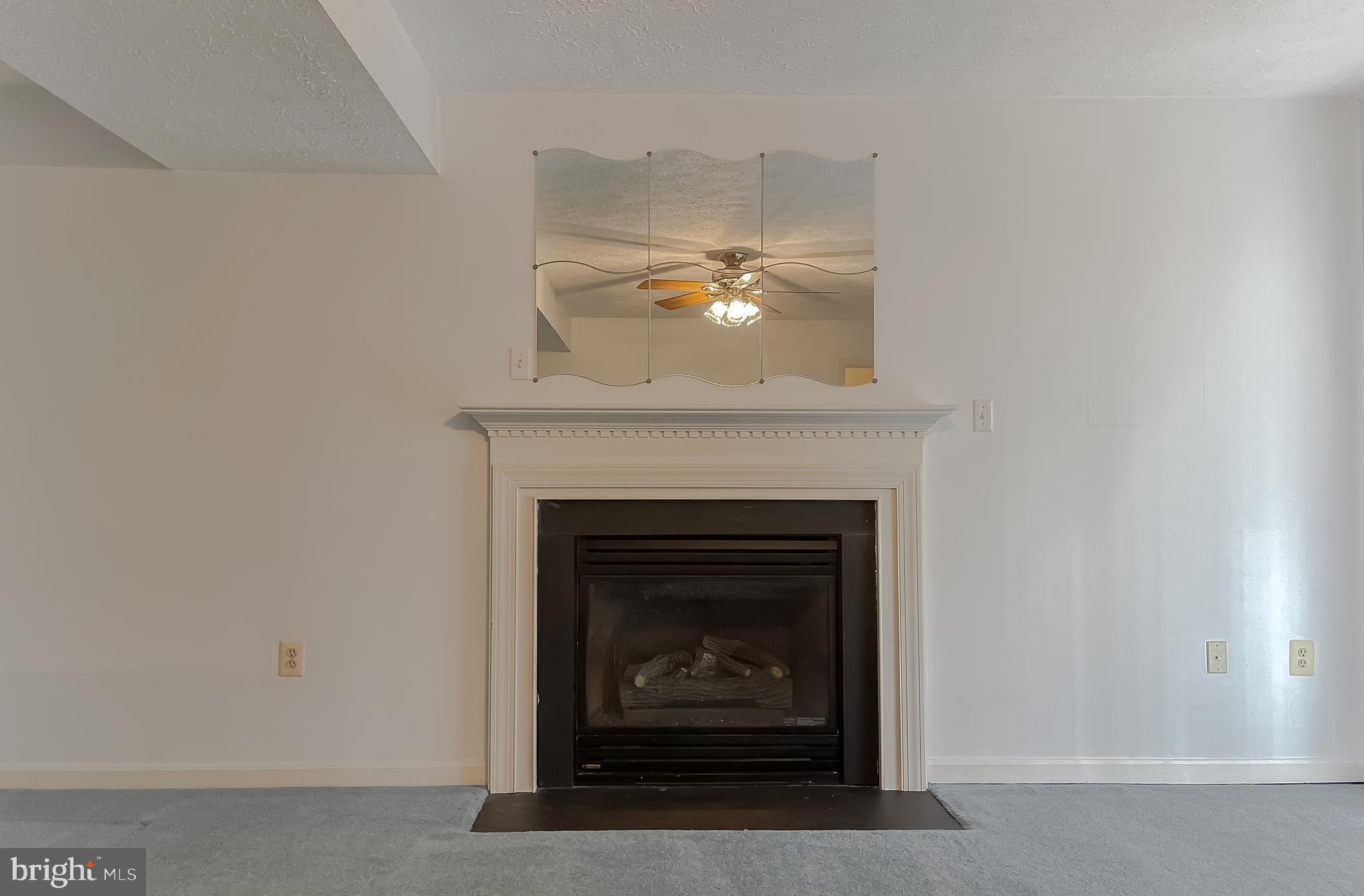 38302 HENRIETTA LANE