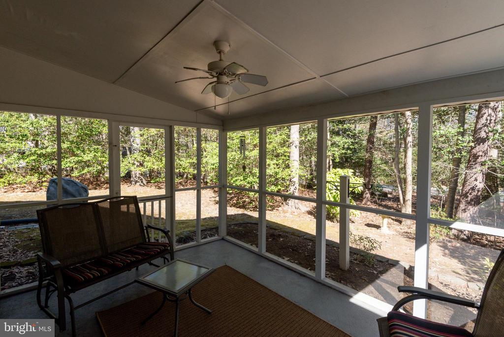 23259 WHITE ELM COURT