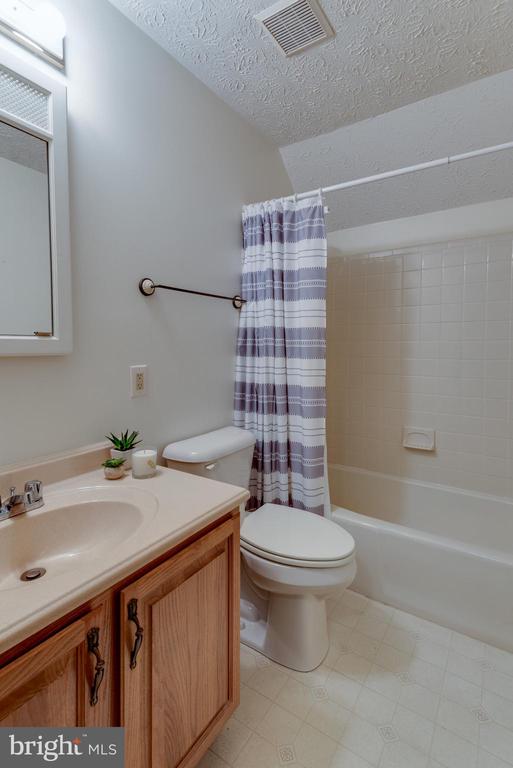 23259 WHITE ELM COURT