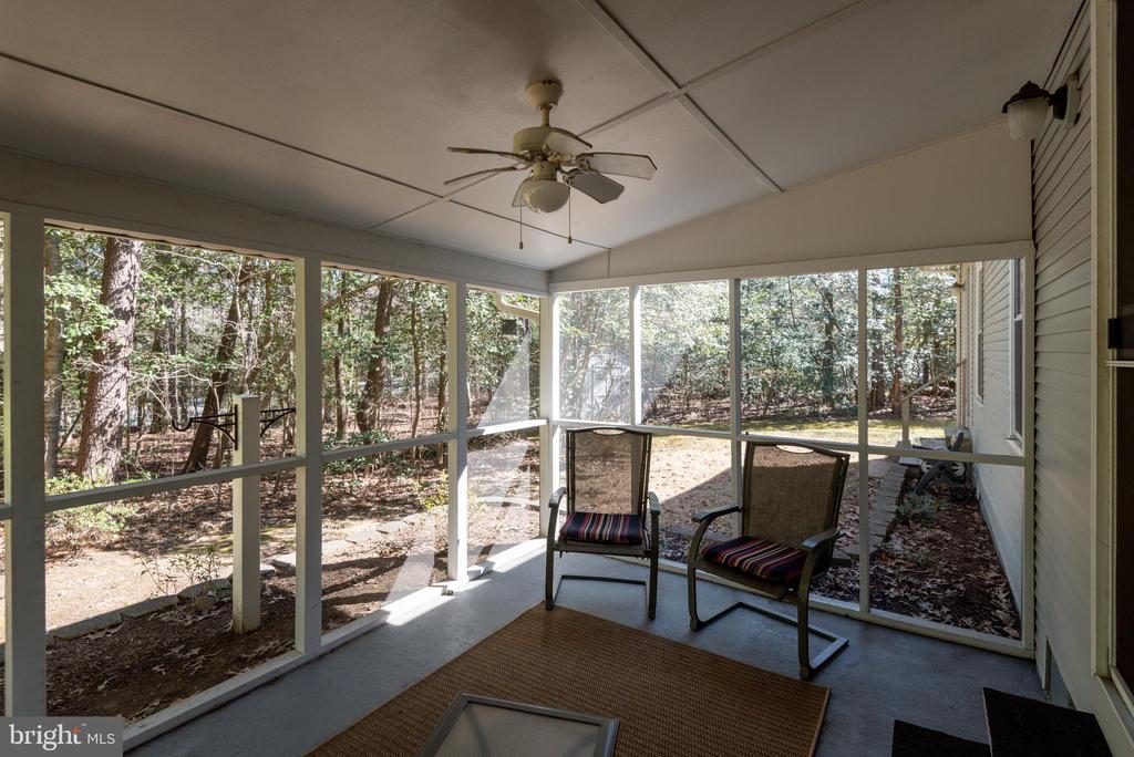 23259 WHITE ELM COURT