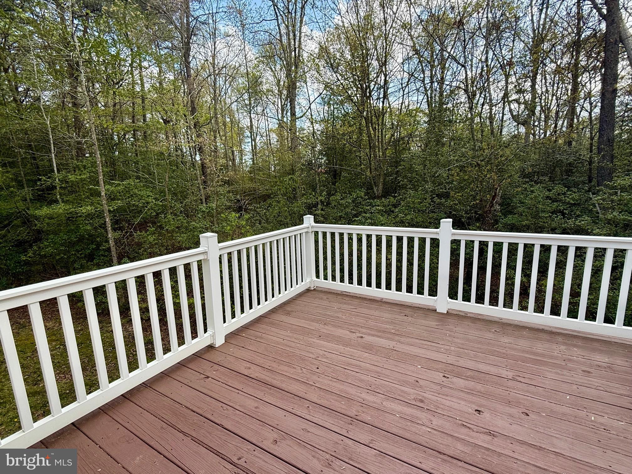 18871 THREE NOTCH ROAD