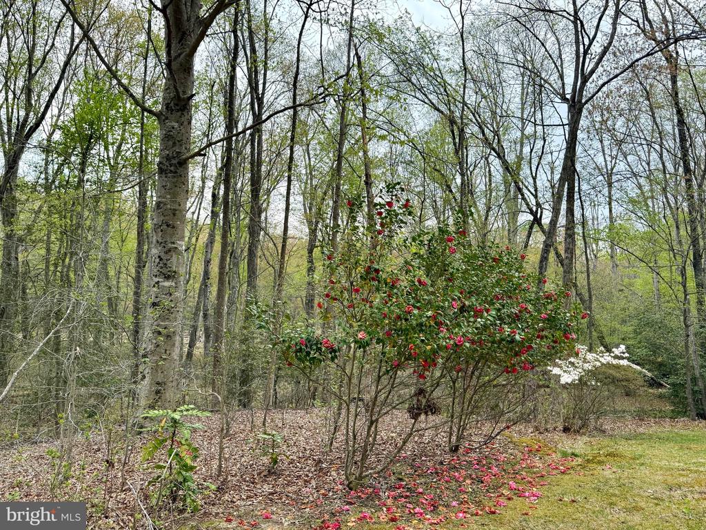 39637 WALNUT CIRCLE