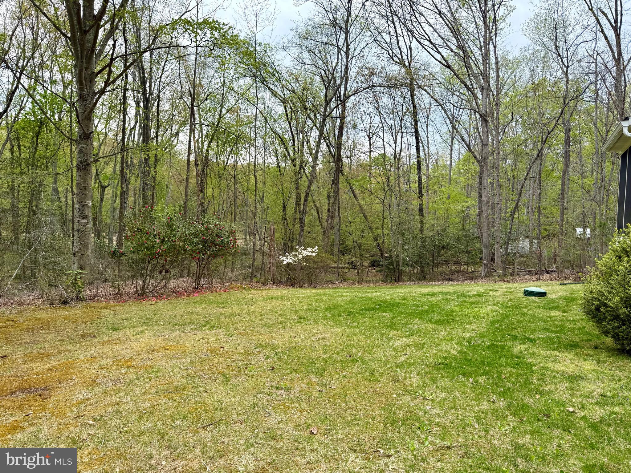 39637 WALNUT CIRCLE