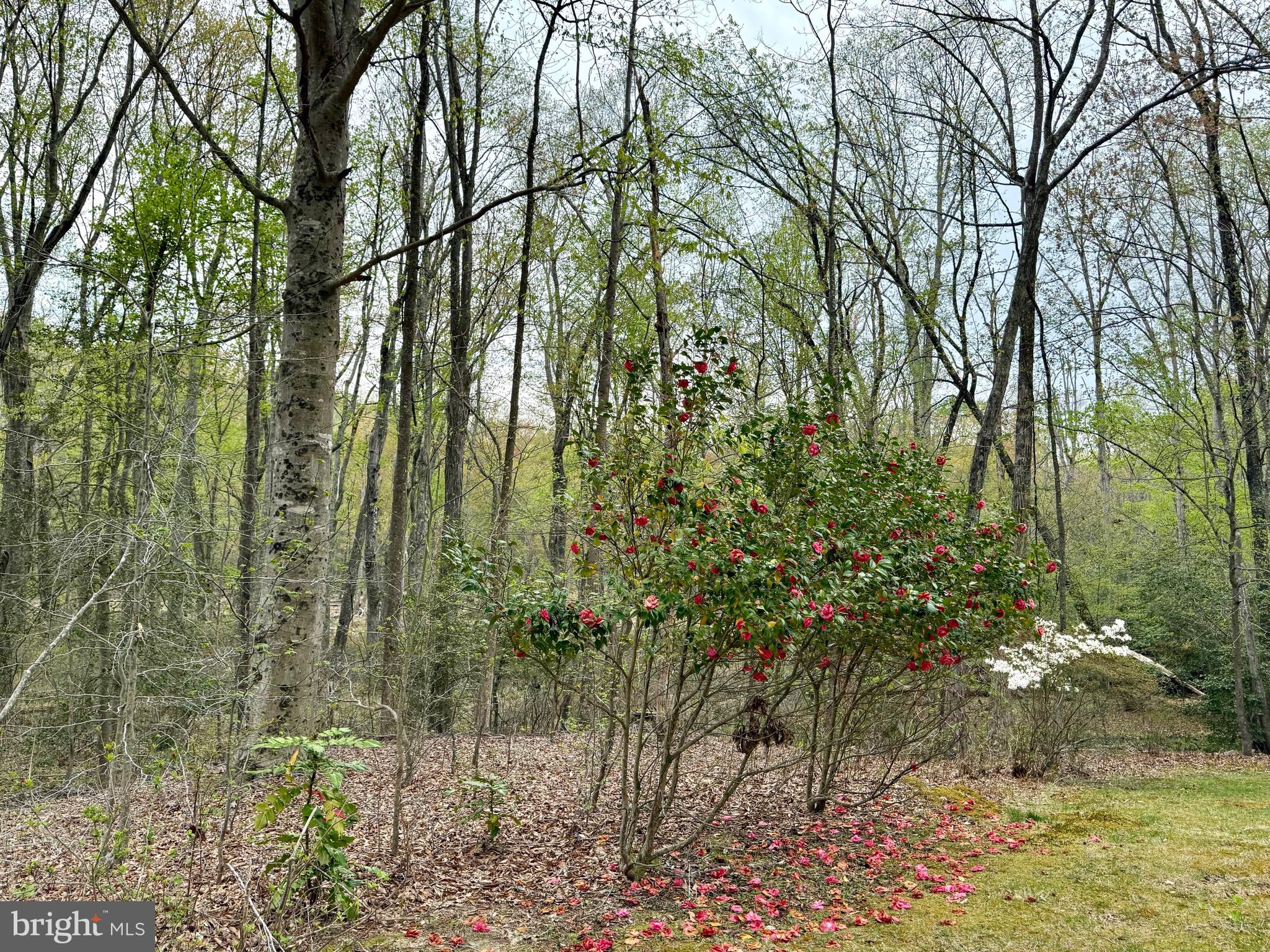 39637 WALNUT CIRCLE
