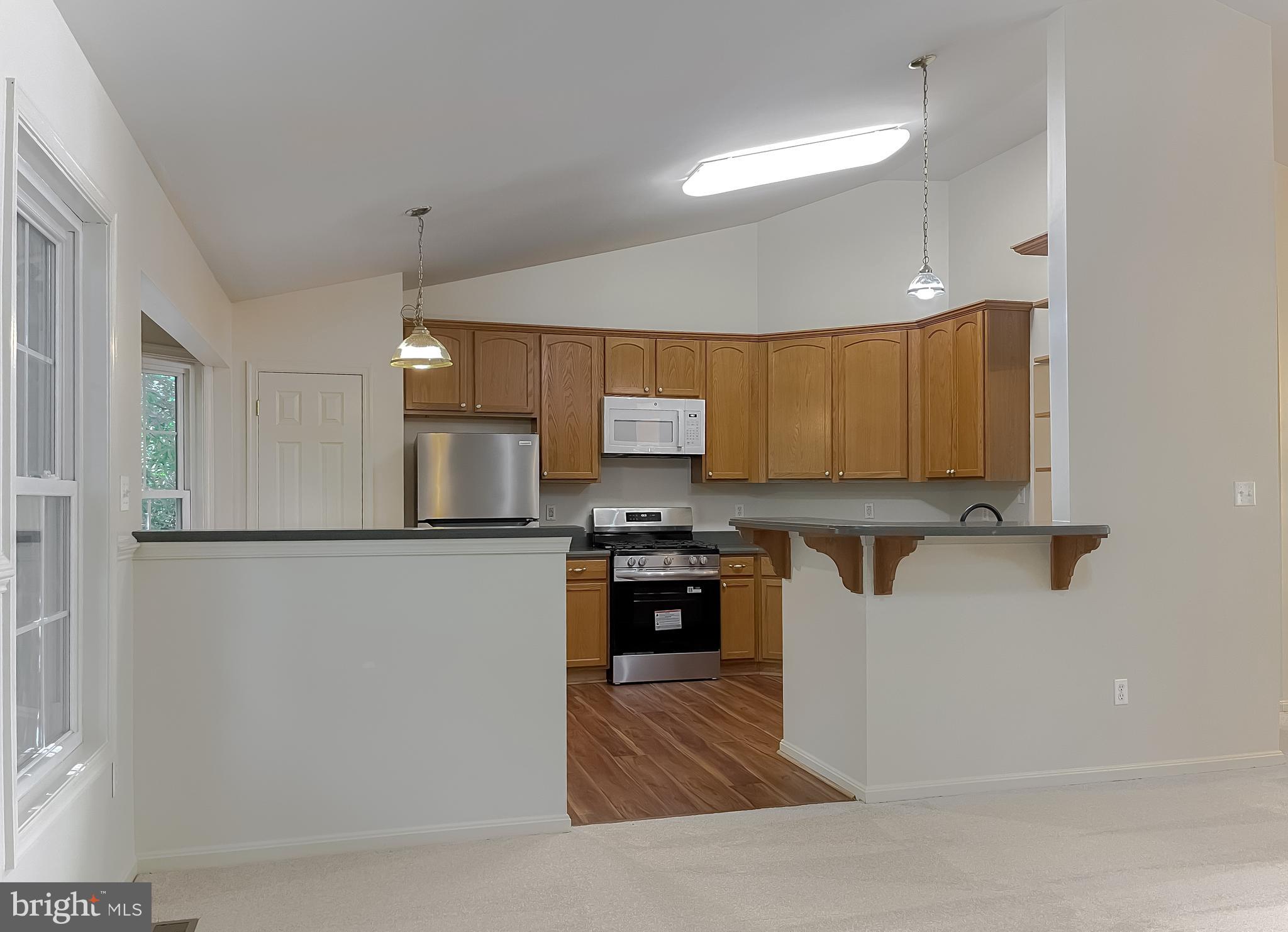 22684 RUE WOODS DRIVE