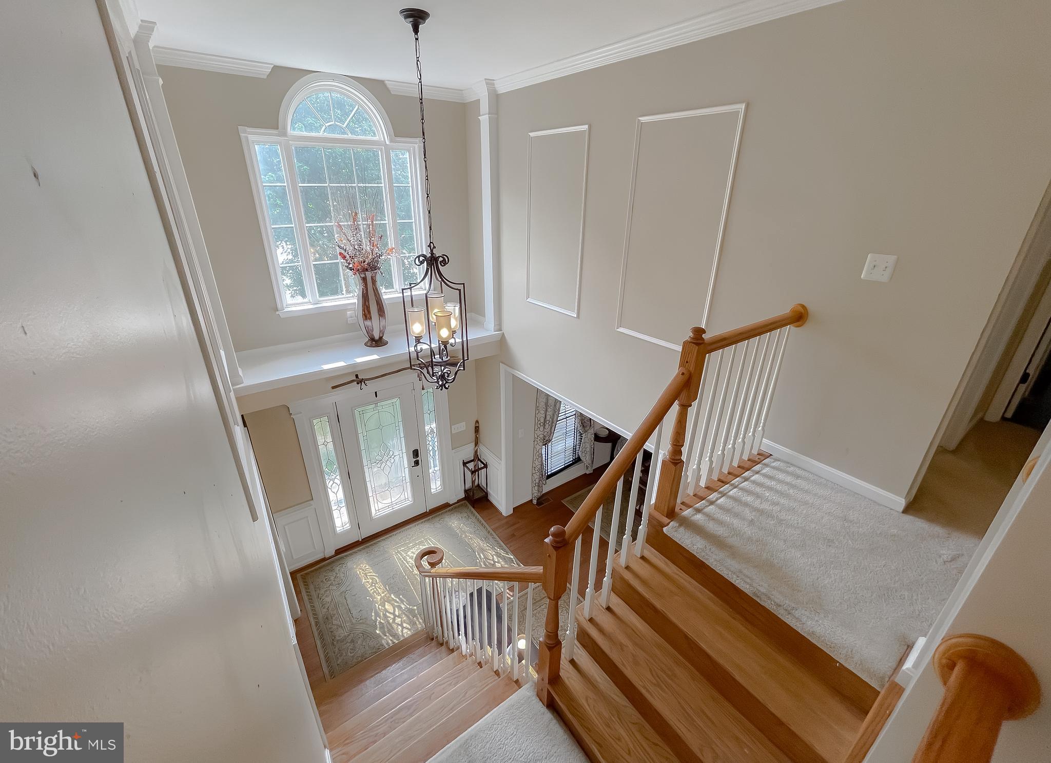 44906 GOLDEN EYE COURT